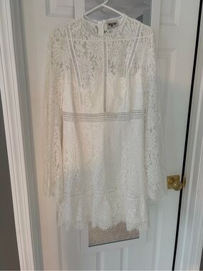 Show Me Your MuMu Ivory Floral Lace Long-Sleeve Mini Dress